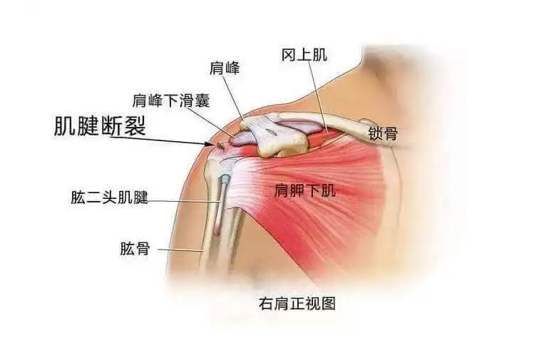 邵阳创伤骨科,邵阳风湿病区,邵阳骨质增生,邵阳关节病区,邵阳颈椎病区